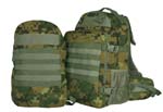 DUAL TACTICAL PACK SYSTEM